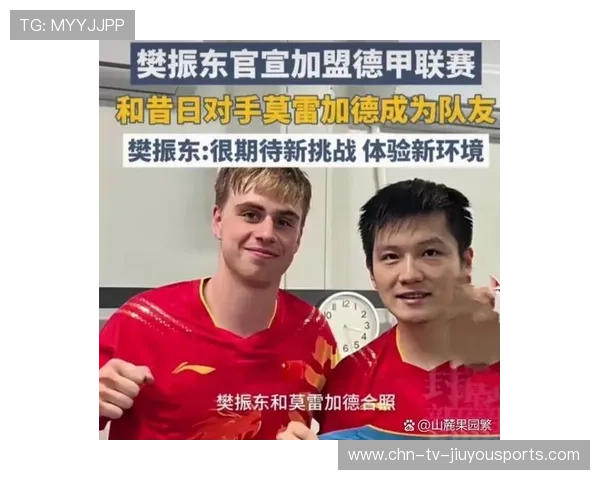 乒乓德甲俱乐部商业困境背后的深层原因分析，德国乒乓球俱乐部